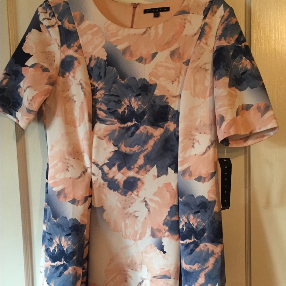 Pink,blue and white dress